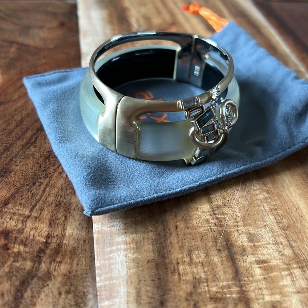 Alexis Bittar Lucite Magnetic Hinged Bangle Bracelet - Picture 3 of 7
